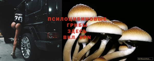первитин Вязьма
