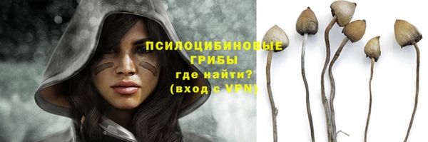 прущая мука Бугульма