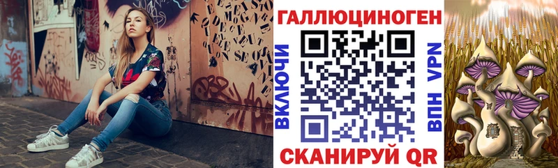 наркота  Зубцов  Галлюциногенные грибы Magic Shrooms 